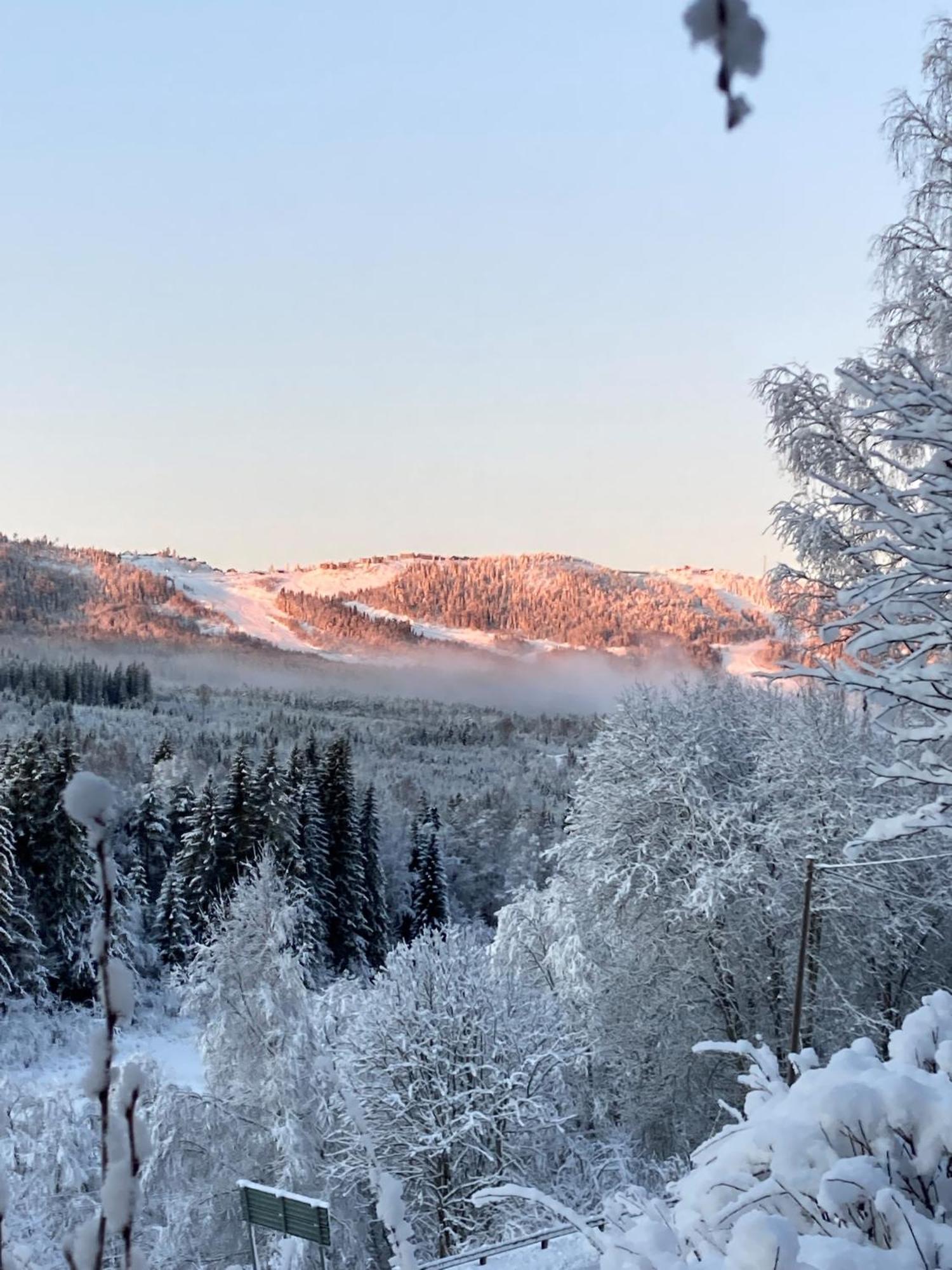 Charmig Villa Med Bastu Och Snabbt Wifi Langav Exterior photo